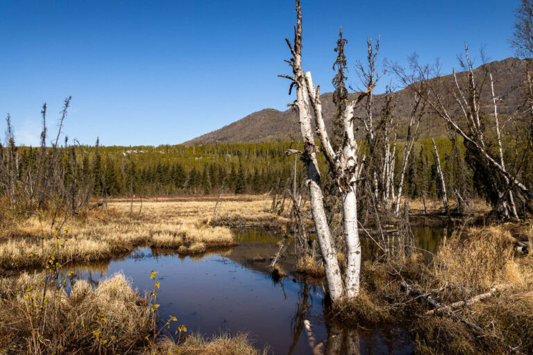 Eagle River Greenbelt Trail - 2025