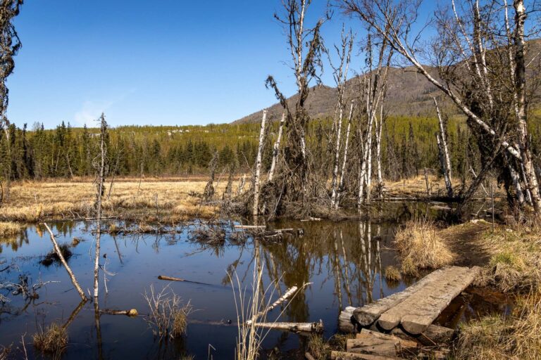 Eagle River Greenbelt Trail - 2025