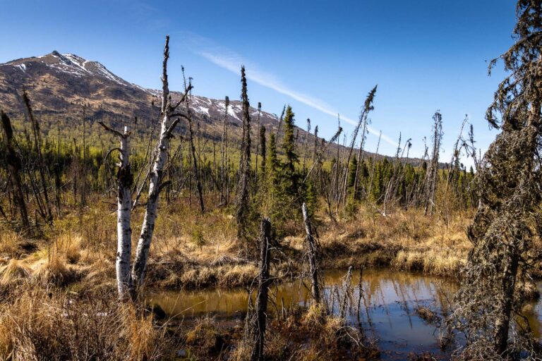 Eagle River Greenbelt Trail - 2025