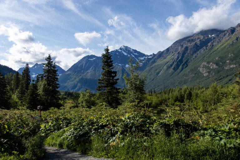 Eagle River Nature Center - 2024