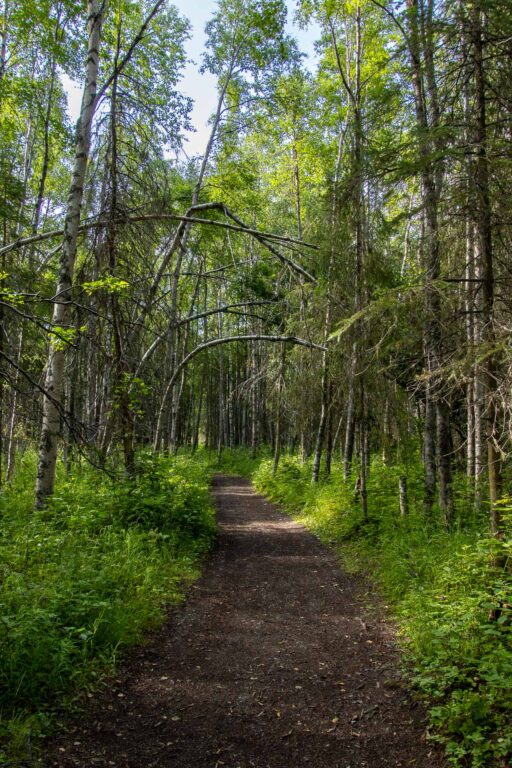 Eagle River Nature Center - 2024