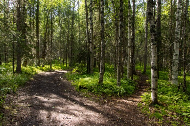 Eagle River Nature Center - 2024