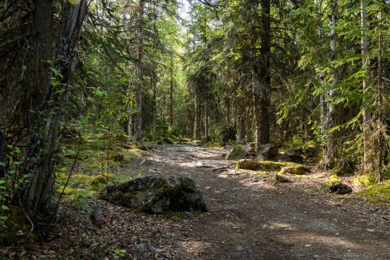Eagle River Nature Center - 2024