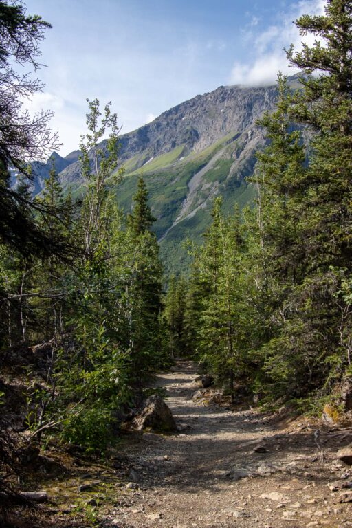 Eagle River Nature Center - 2024