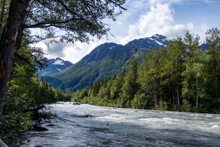 Eagle River Nature Center - 2024