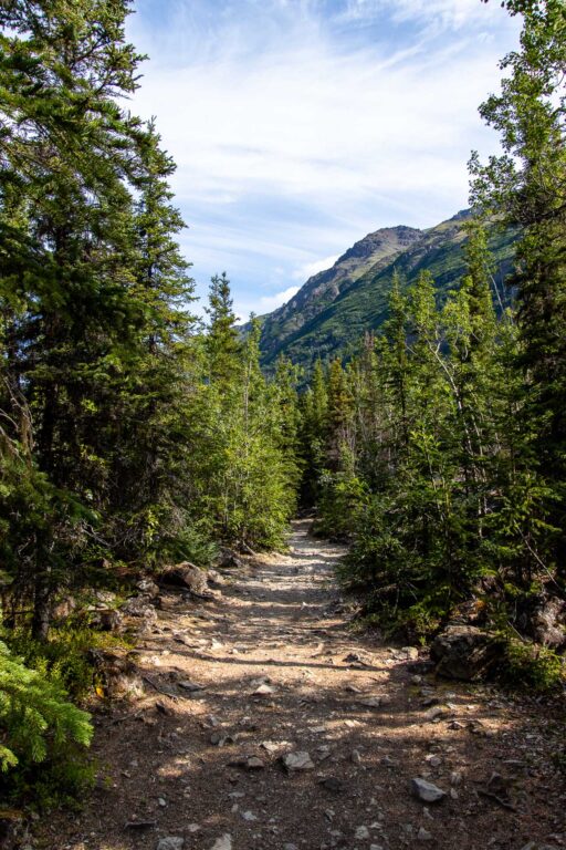 Eagle River Nature Center - 2024