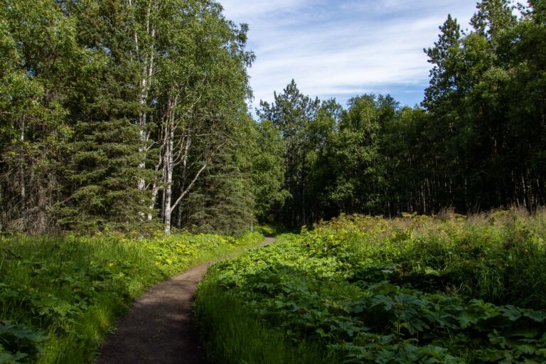 Eagle River Nature Center - 2024