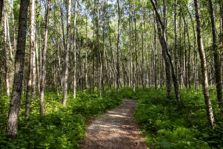 Eagle River Nature Center - 2024