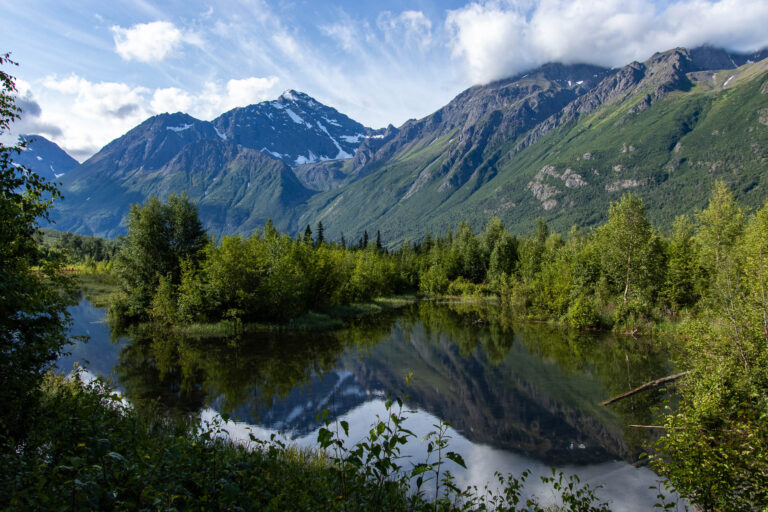 Eagle River Nature Center - 2024