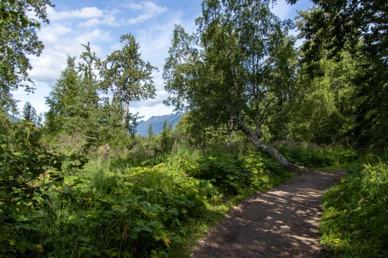 Eagle River Nature Center - 2024