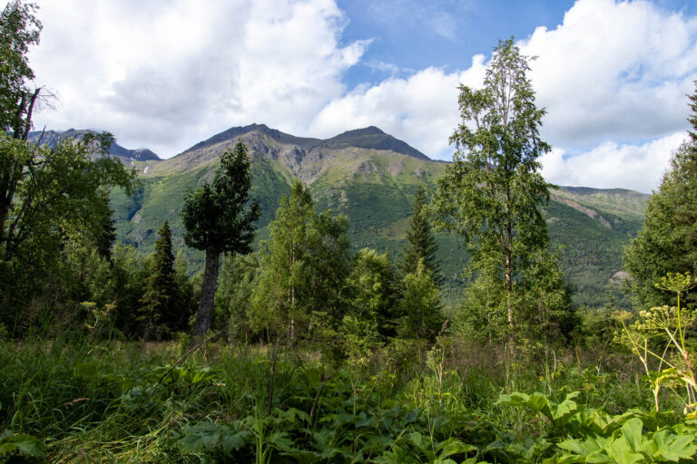 Eagle River Nature Center - 2024