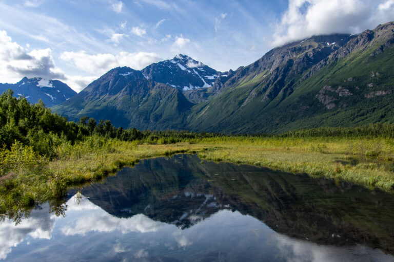 Eagle River Nature Center - 2024