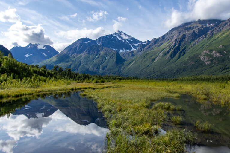 Eagle River Nature Center - 2024