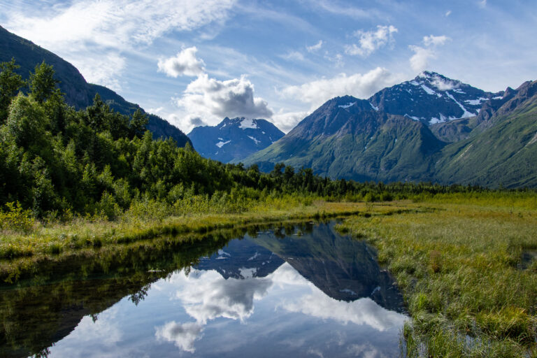Eagle River Nature Center - 2024