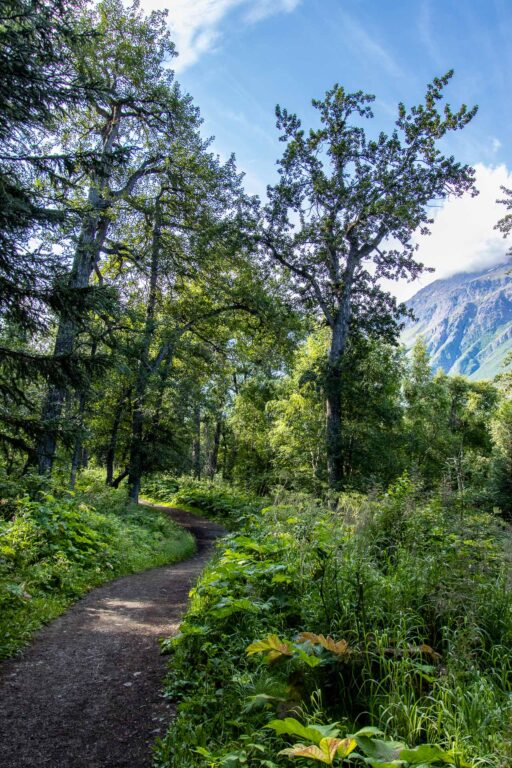 Eagle River Nature Center - 2024