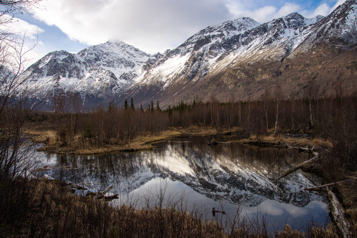 Eagle River Nature Center - Spring 2025