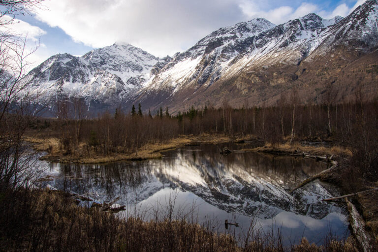 Eagle River Nature Center - Spring 2025
