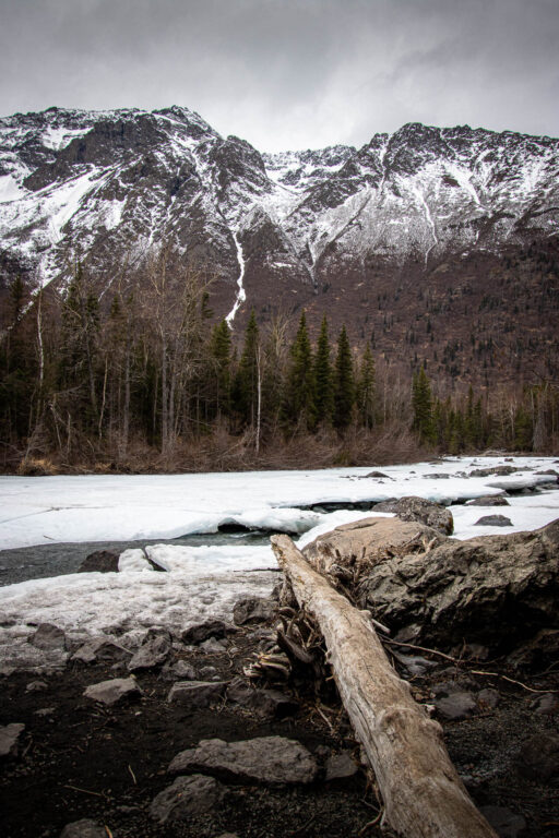 Eagle River Nature Center - Spring 2025