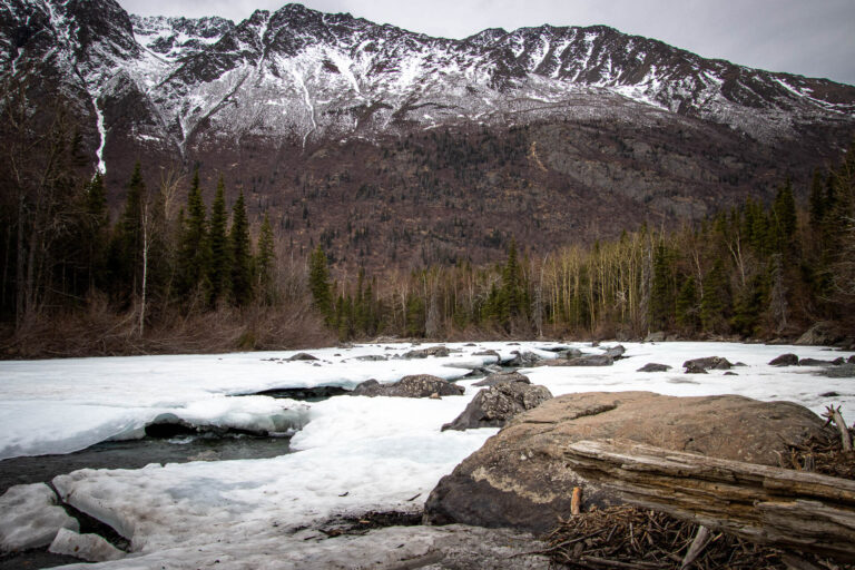 Eagle River Nature Center - Spring 2025