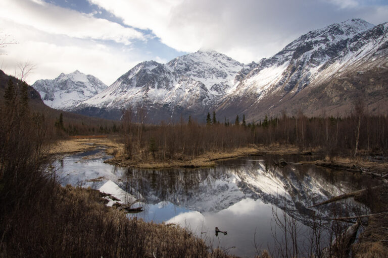 Eagle River Nature Center - Spring 2025