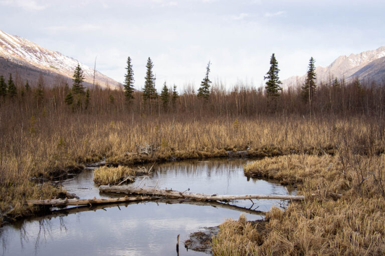 Eagle River Nature Center - Spring 2025