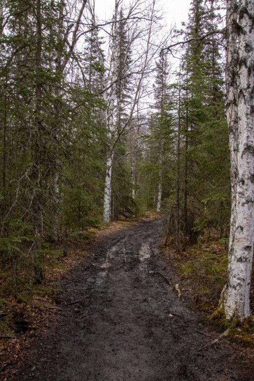 Eagle River Nature Center - Spring 2025