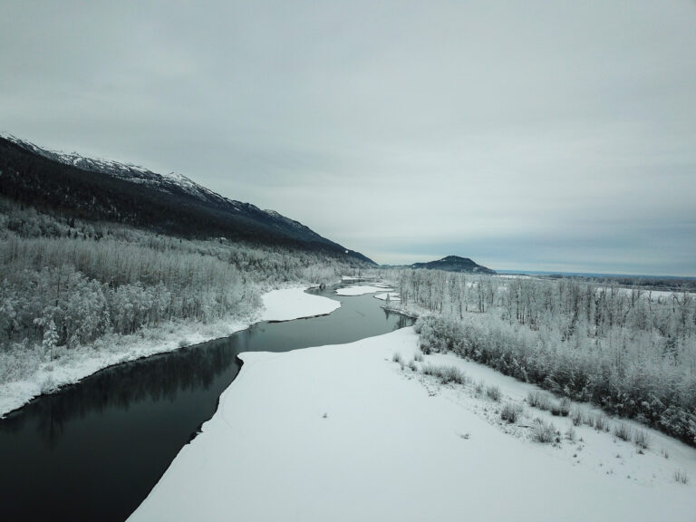 Eklutna Trailrace - Winter 2018