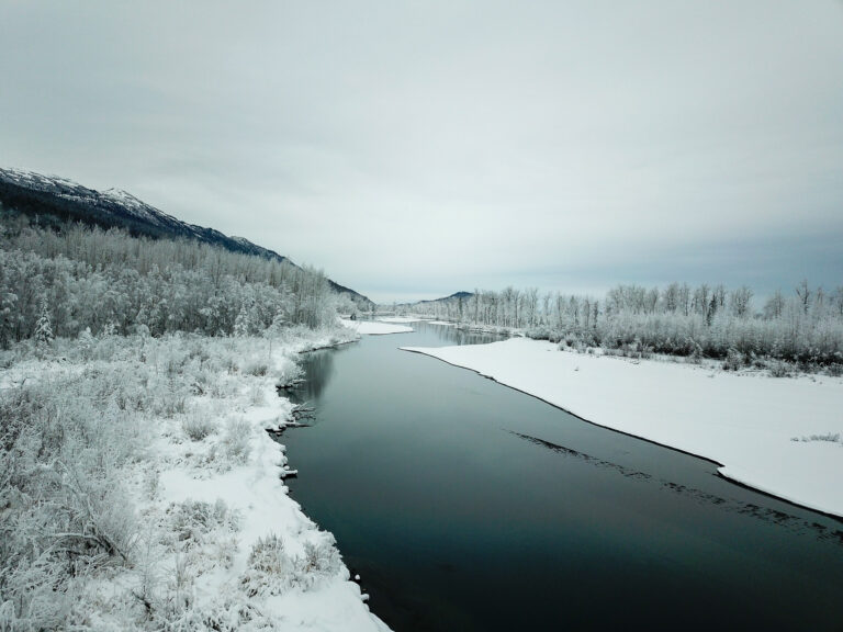 Eklutna Trailrace - Winter 2018