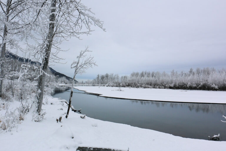 Eklutna Trailrace - Winter 2018