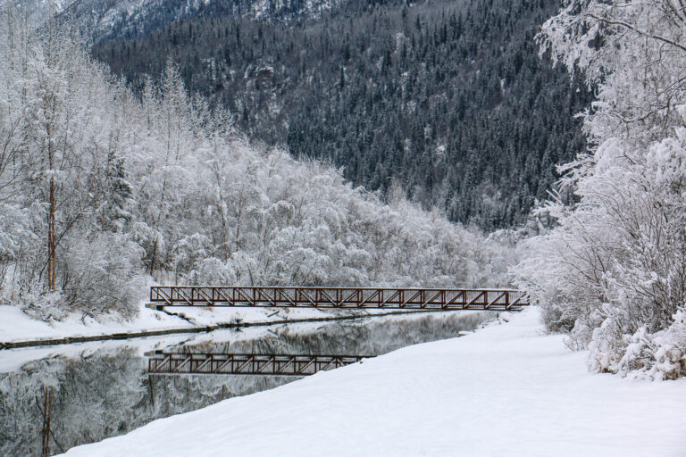 Eklutna Trailrace - Winter 2018