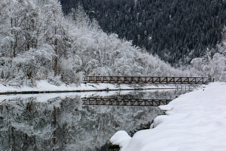 Eklutna Trailrace - Winter 2018
