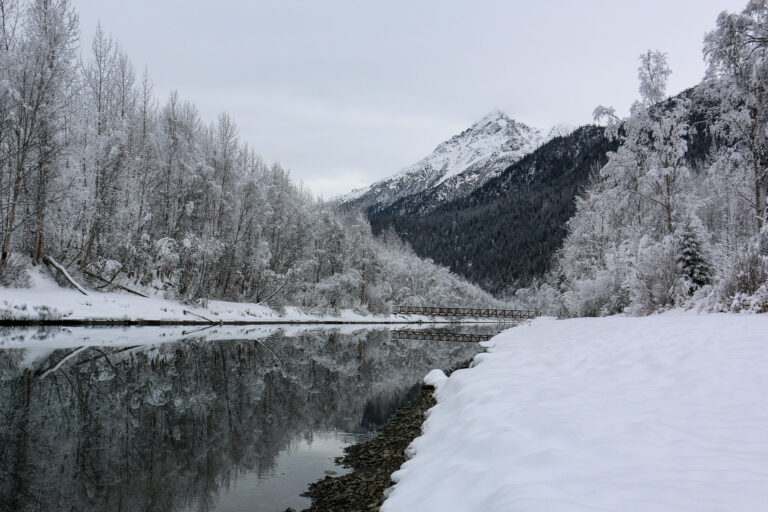 Eklutna Trailrace - Winter 2018