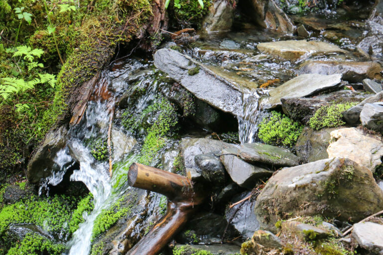 Emerald Cove Trail - 2017