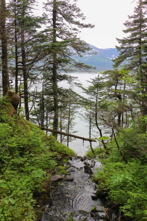 Emerald Cove Trail - 2017