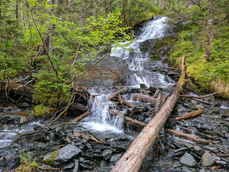 Emerald Cove Trail - 2017