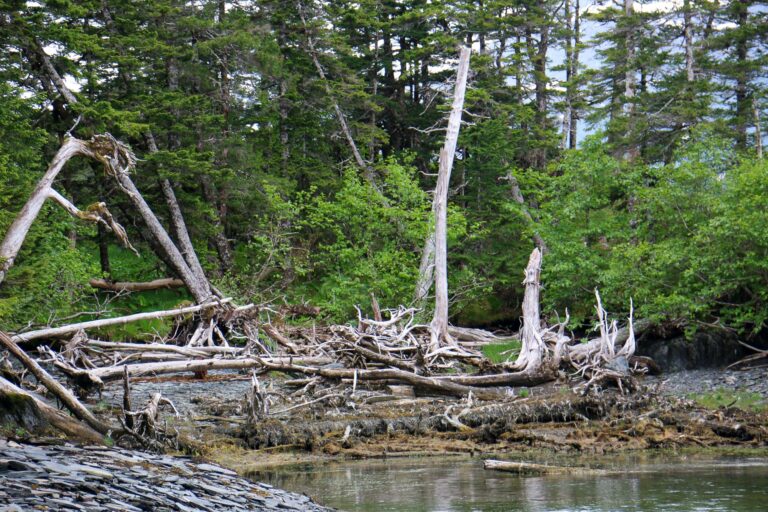 Emerald Cove Trail - 2017