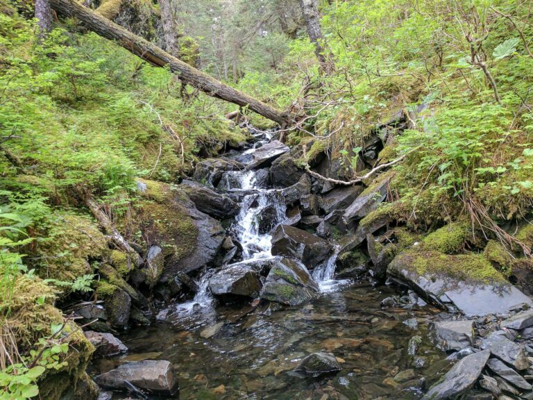 Emerald Cove Trail - 2017