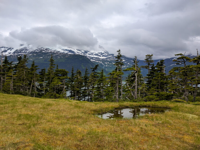 Emerald Cove Trail - 2017