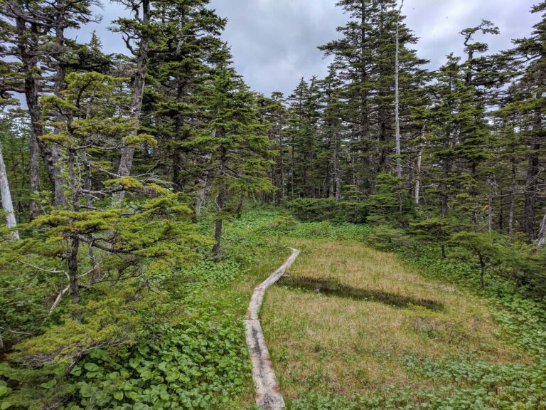Emerald Cove Trail - 2017