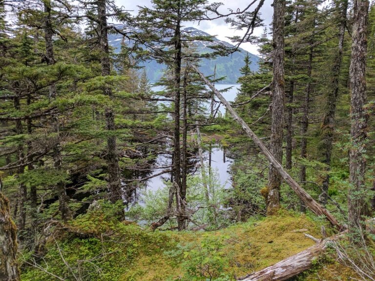 Emerald Cove Trail - 2017
