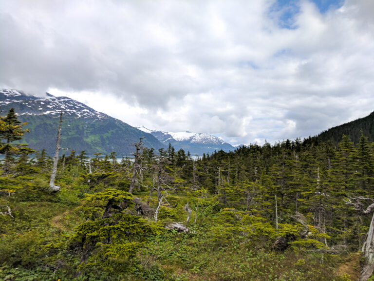 Emerald Cove Trail - 2017