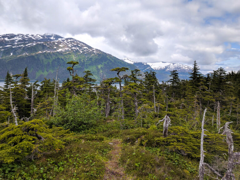 Emerald Cove Trail - 2017