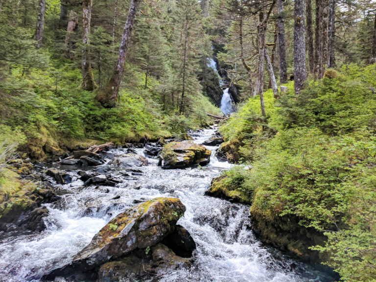 Emerald Cove Trail - 2017