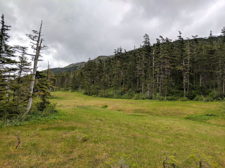 Emerald Cove Trail - 2017
