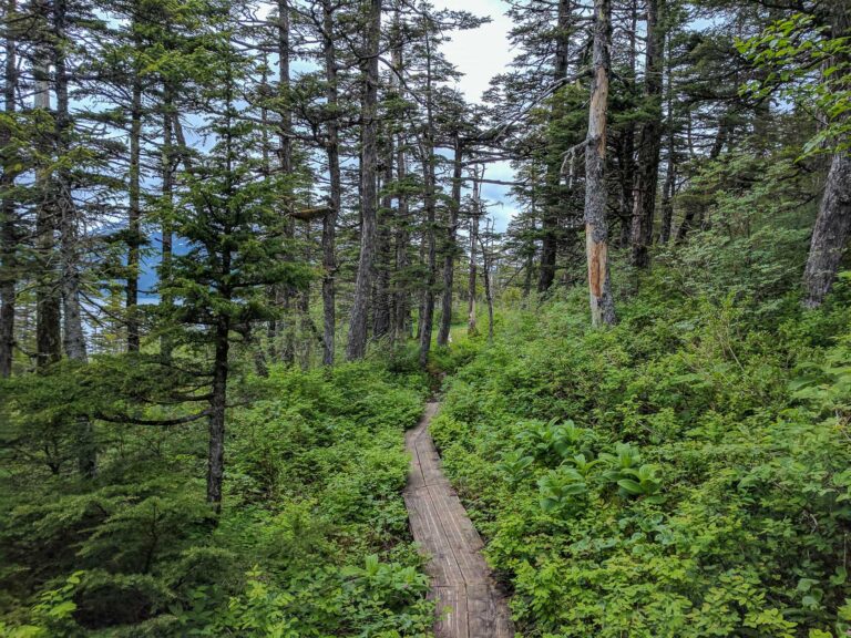Emerald Cove Trail - 2017