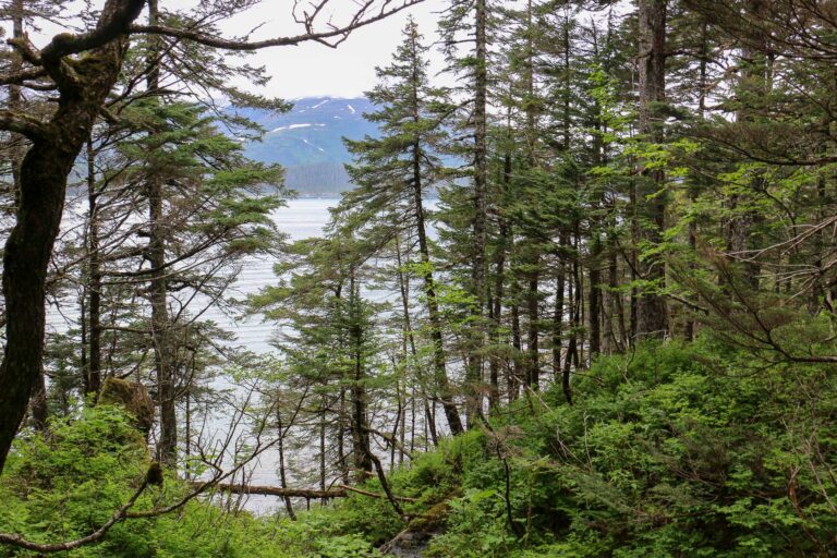 Emerald Cove Trail - 2017