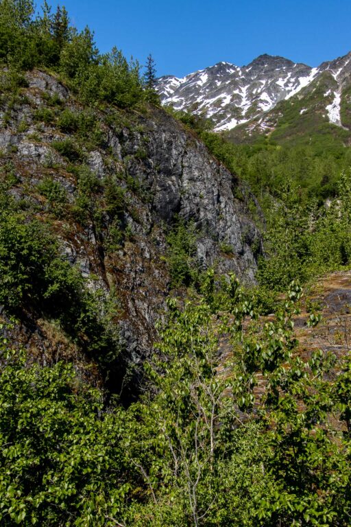 Exit Glacier - 2024
