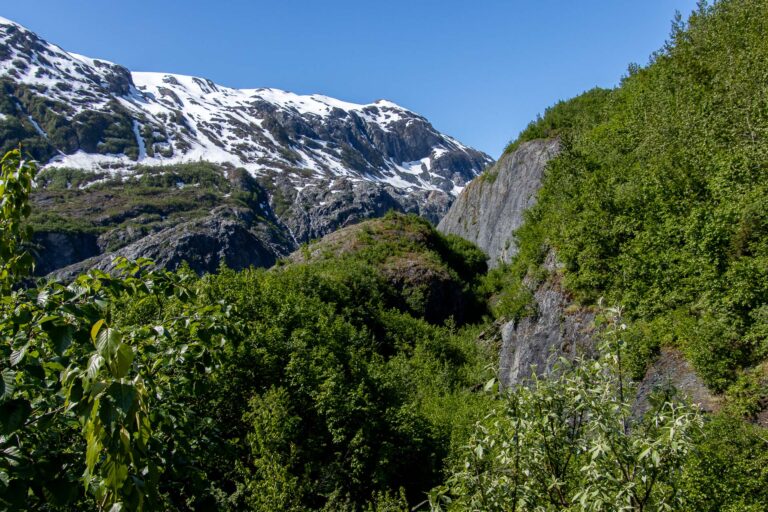 Exit Glacier - 2024