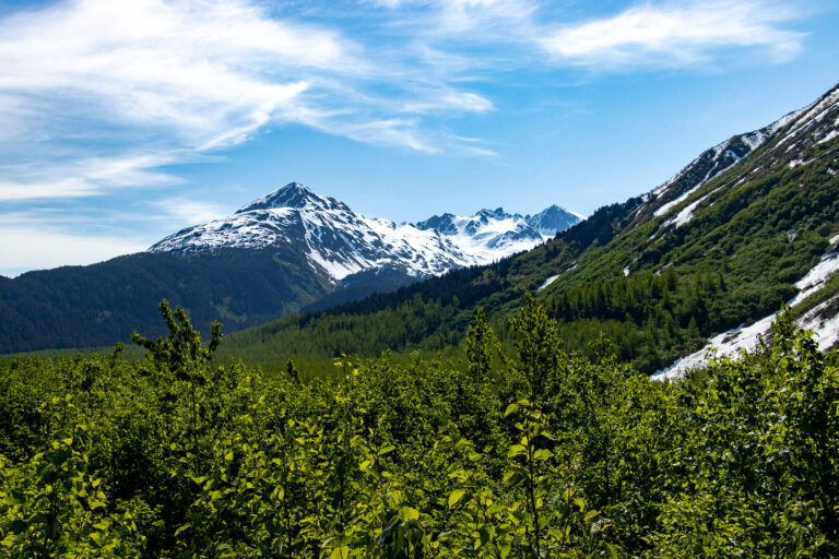 Exit Glacier - 2024
