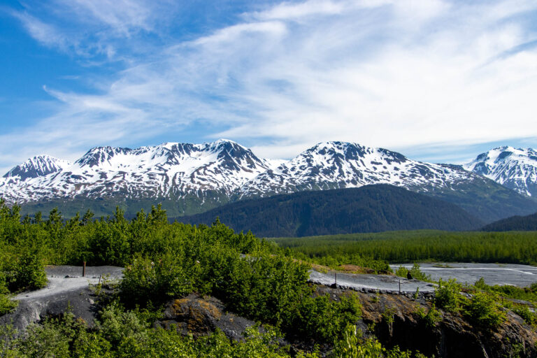 Exit Glacier - 2024